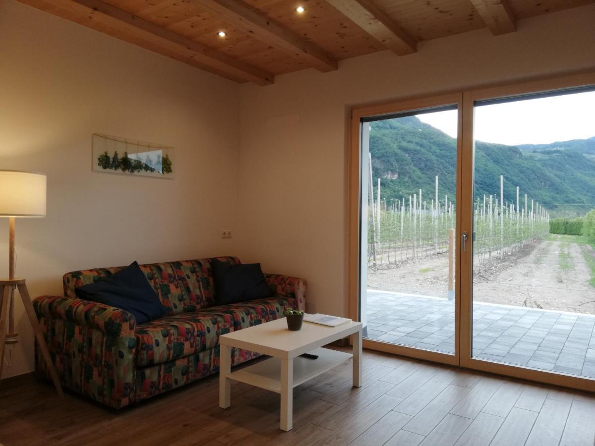 Gisshuebelhof Apartment Андриан Екстериор снимка